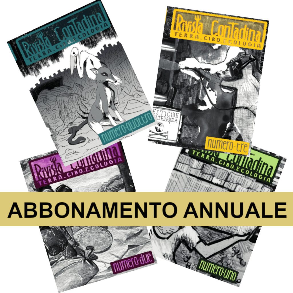 Abbonamento annuale (4 numeri)